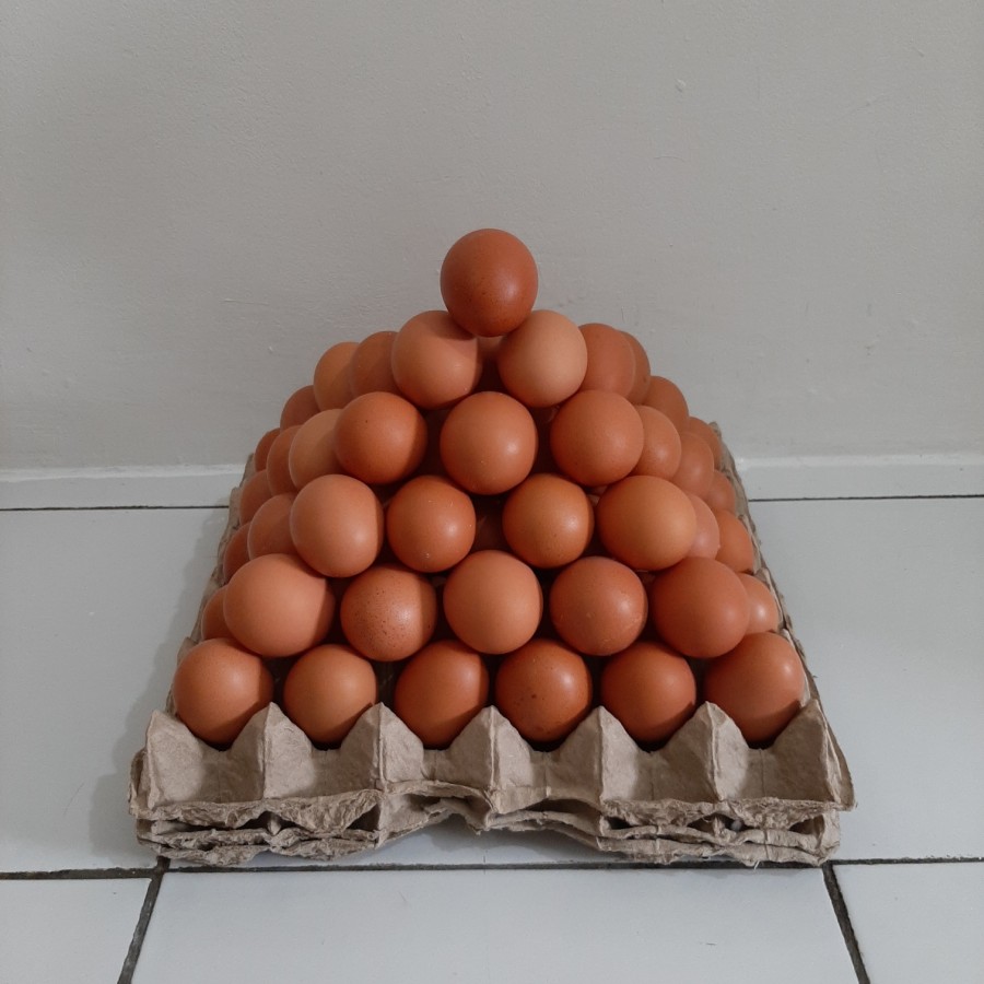 Telur ayam kampung